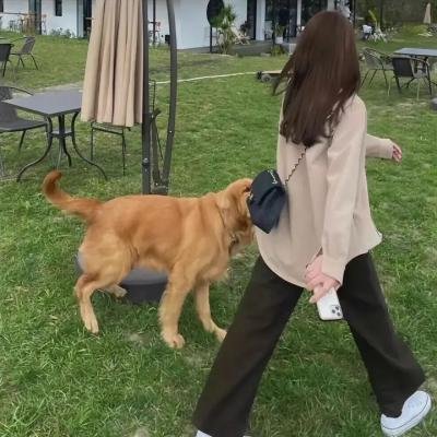萝莉的时间第二季