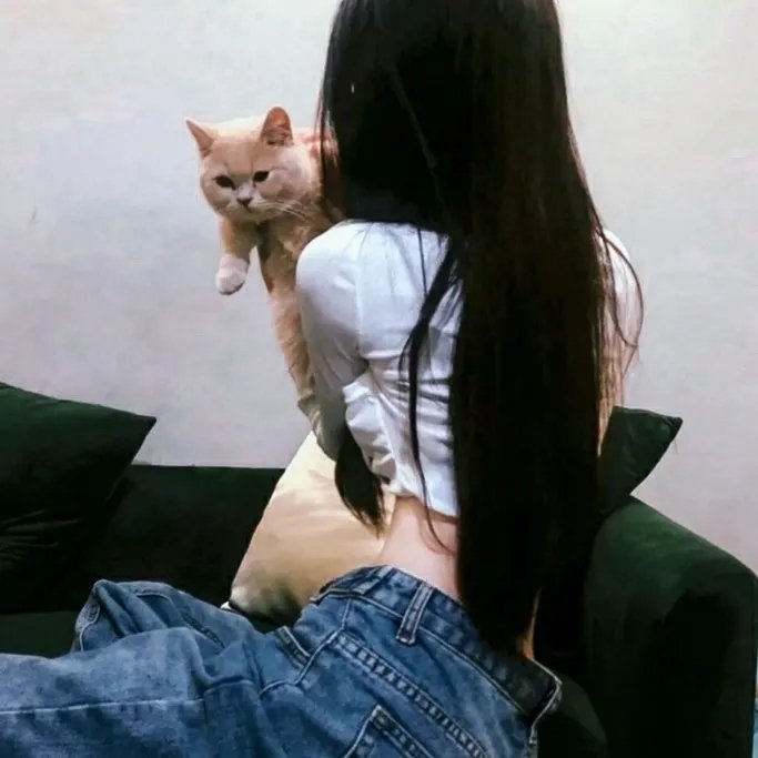 所有的猫都是灰色