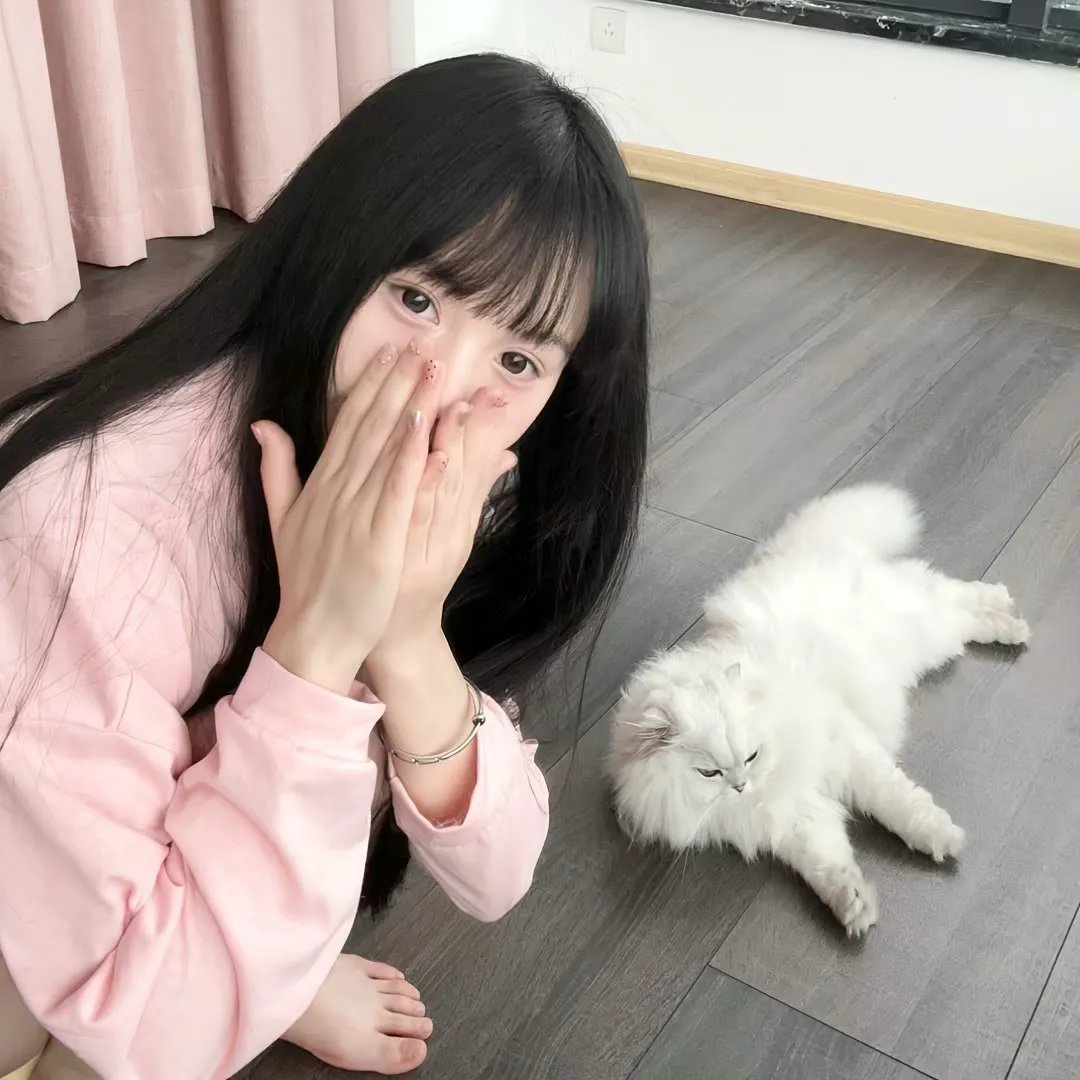 昙花梦